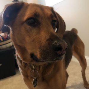 Meet your Posher, Nicholas